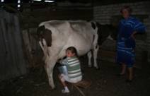 ��������: E:\������ 2011 ����\IMG_7463.JPG