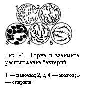 �������: