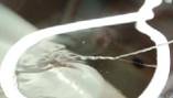 http://*****/img/pic2013-4.jpg