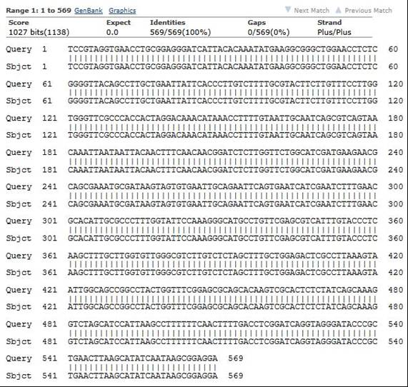 \\dp-fs01\Girichev\Eigene Dateien\Dokumente\1. Vadim\1 My documents\Proekt\Article\Krasnodar, 2013\sequencing Alternaria alternata.jpg