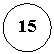 ����: 15
