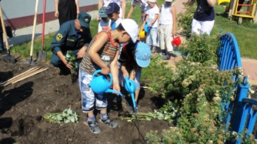 В Белгороде детсадовцы посадили деревья и кустарники