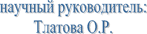 научный руководитель:
Р.