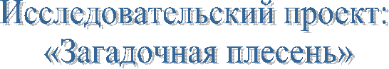 Исследовательский проект:
«Загадочная плесень»
