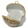 Описание: 06-300x300_Tiger_Cowry