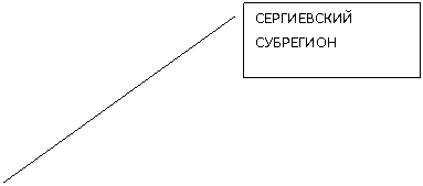 Выноска 2: СЕРГИЕВСКИЙ СУБРЕГИОН