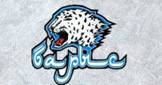 review_barys.jpg