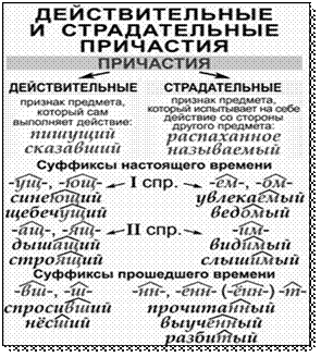 Картинка 1 из 308