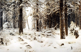 img6.gif (51928 bytes)
