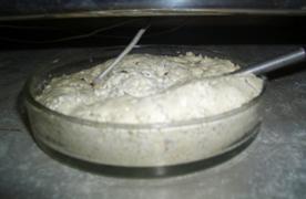 CIMG8774