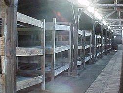 http://upload.wikimedia.org/wikipedia/commons/thumb/1/11/BIRKENAU.jpg/250px-BIRKENAU.jpg