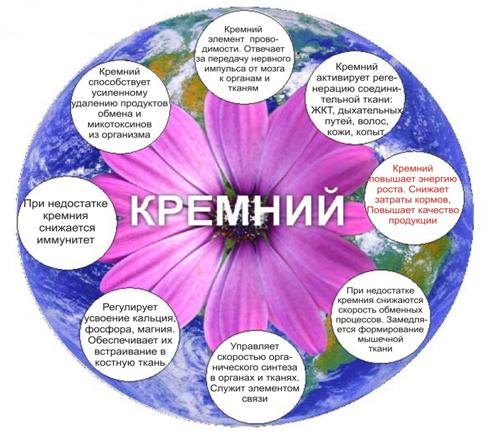 Кремний +++.jpg