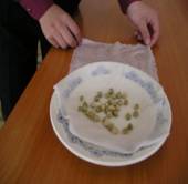 P1010080.JPG