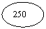 ����: 250