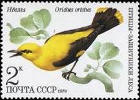 &Icy;&vcy;&ocy;&lcy;&gcy;&acy;