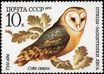 &Scy;&ocy;&vcy;&acy; &scy;&icy;&pcy;&ucy;&khcy;&acy;