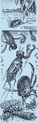 http://*****/glava05_1/505.gif