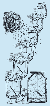 http://*****/glava05_1/514.gif