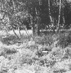 http://*****/glava06_1/616.jpg