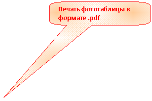 Скругленная прямоугольная выноска: Печать фототаблицы в формате .pdf