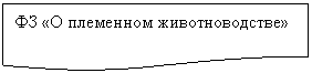 ����-�����: