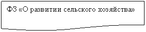 ����-�����:
