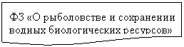 ����-�����: