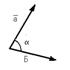���� ����� ���������