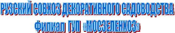 РУЗСКИЙ