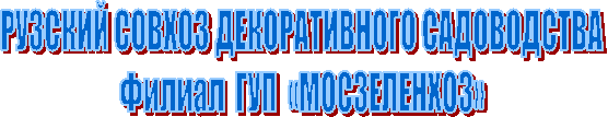 РУЗСКИЙ