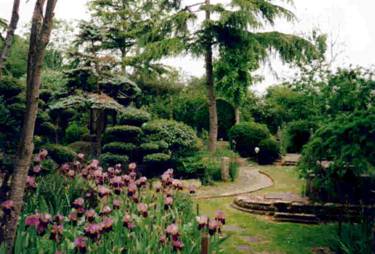 C:\Users\user\Desktop\japanese_garden6.jpg