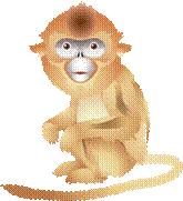 0504244df511.png