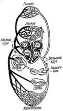 http://t2.gstatic.com/images?q=tbn:ANd9GcSC4rcDHOc6BpGAuPIWhuhdpDWw_vEzk-3ab-n-Q97JRhBBqg8v