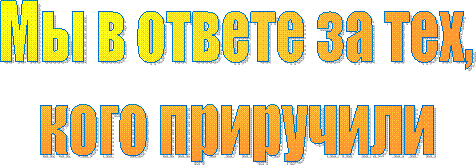 Мы в ответе за тех,
кого приручили