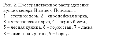�������: