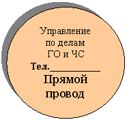 Овал: Управление
по делам
ГО и ЧС
Тел.__________
Прямой провод