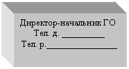 Подпись: Директор-начальник ГО
Тел. д. _________
Тел. р._______________