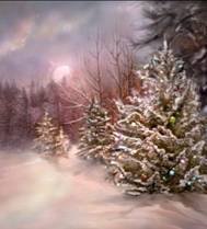 http://*****/pics/2008/12/27/2228.jpg