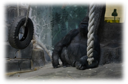 DSC_1122.JPG