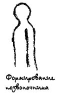 Рис.6