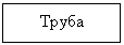 �������: �����