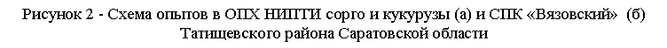 �������:
