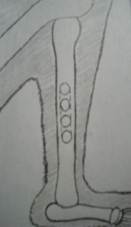 DSC01684.JPG