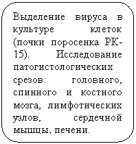 ����-�����: