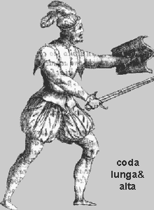 Coda lunga alta