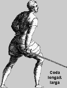 Coda lunga distesa