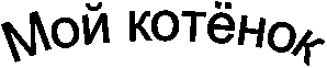 ��� ������