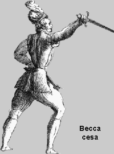 Becca cesa