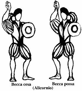 Becca cesa � Becca possa