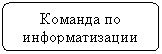 Блок-схема: альтернативный процесс: Команда по информатизации